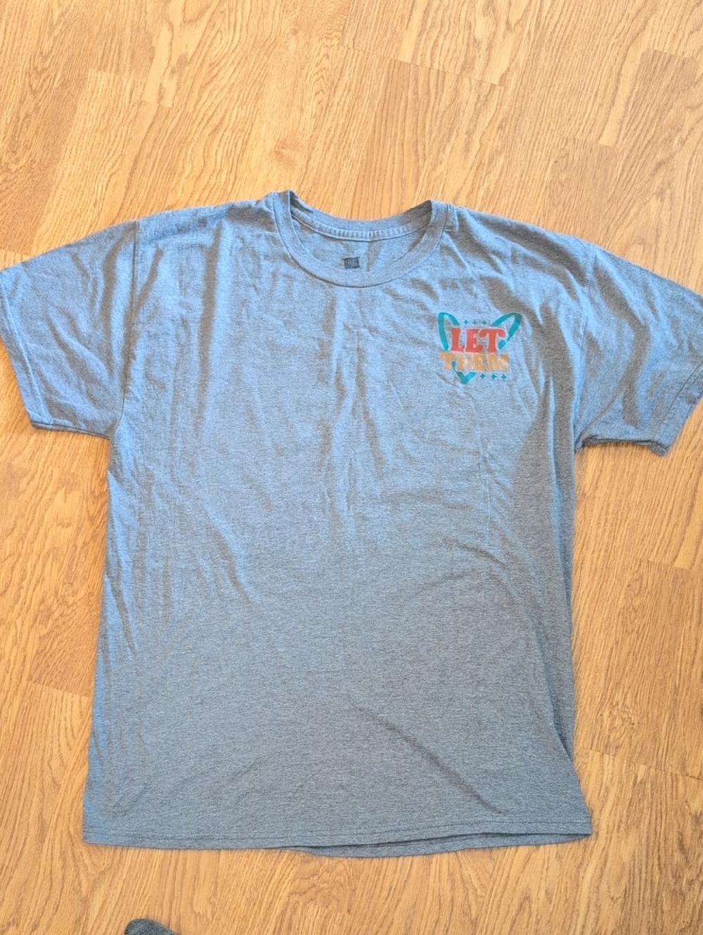 Hanes Gray Graphic Logo Tee with Small Chest Print